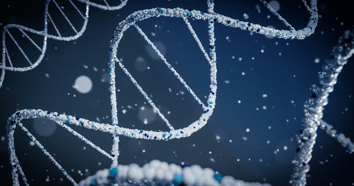 Bronco Resources Appoints New CEO to Advance Gold Exploration Strategy